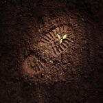 Menyeimbangkan Kebutuhan Industri dan Pemeliharaan Keseimbangan Alam