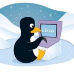 OS Linux Cocok Untuk Programming?