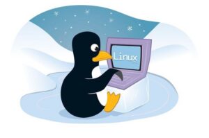 Read more about the article OS Linux Cocok Untuk Programming?