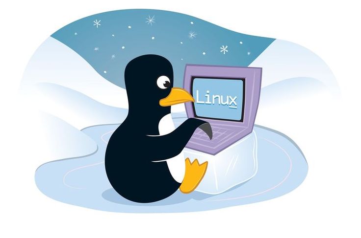 Read more about the article OS Linux Cocok Untuk Programming?